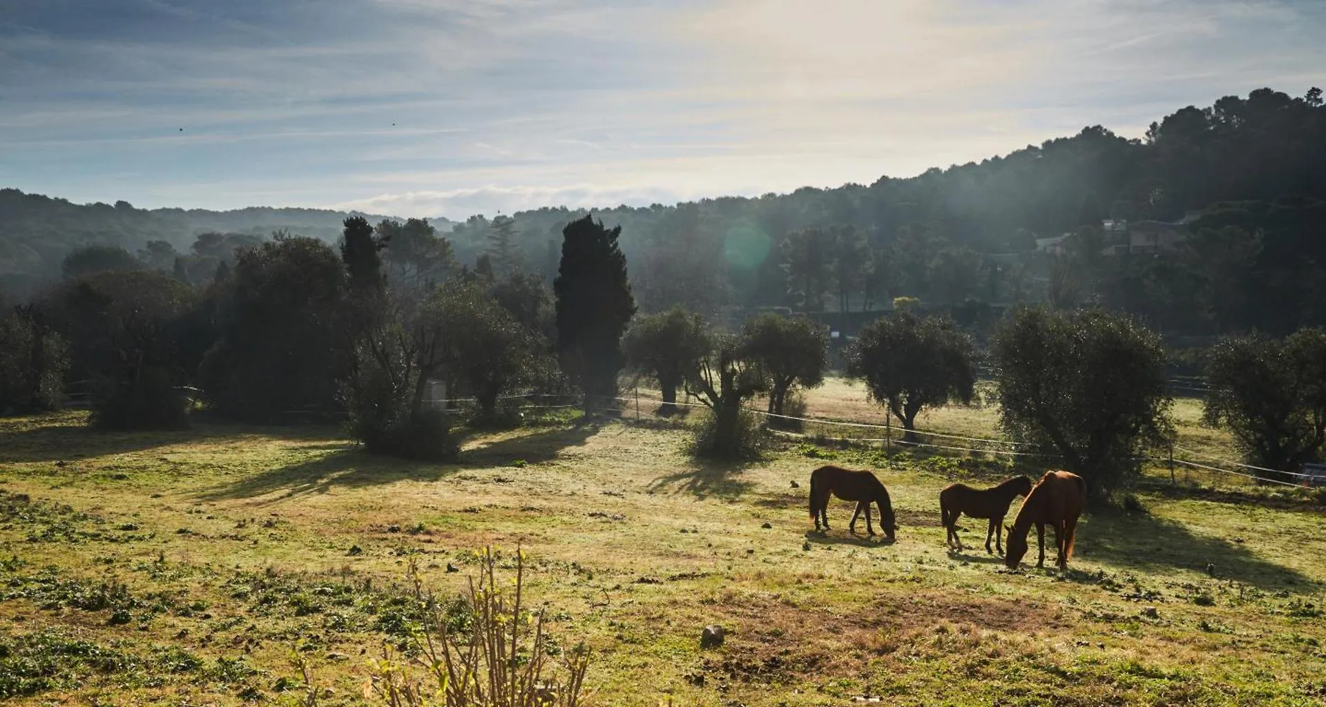 Country house Villa Oliva Sanlucar la Mayor