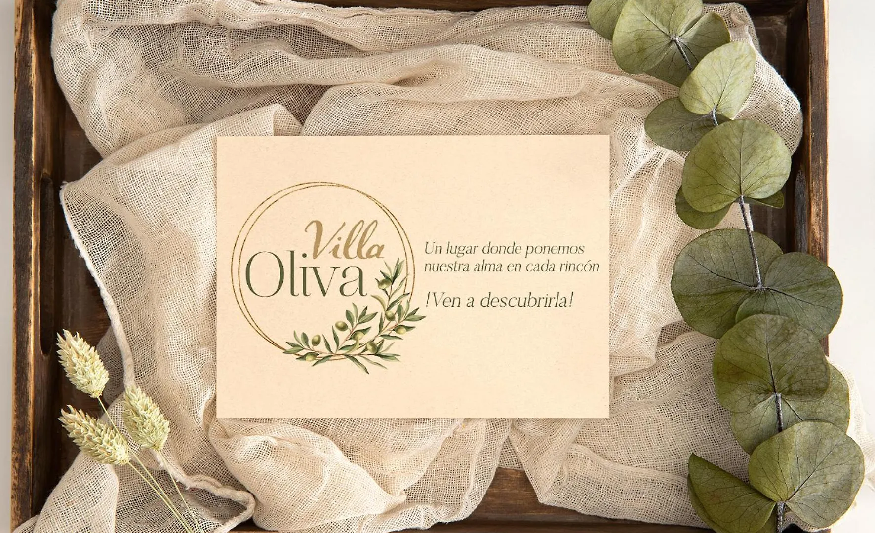 Villa Oliva Sanlucar la Mayor Spain